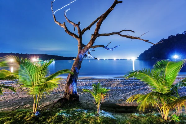 Éjszaka a trópusi tengerparton. Thaiföld — Stock Fotó