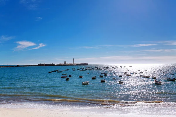 Güzel manzara plaj ve okyanus — Stok fotoğraf