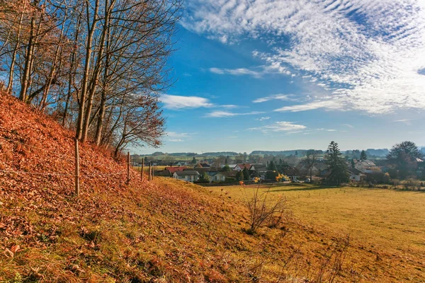 stock image Autumnal field