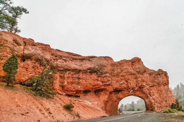 Inverno sulla strada nel canyon di roccia rossa . — Foto Stock