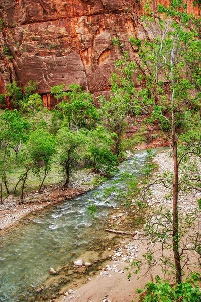 Ποταμός της Σιών canyon — Φωτογραφία Αρχείου