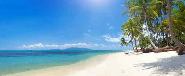 Pláž s kokosovou palmou a mořem — Stock fotografie