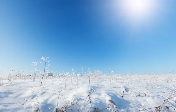 Sněhová hora a modrá obloha — Stock fotografie