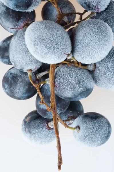 Bevroren druiven. — Stockfoto