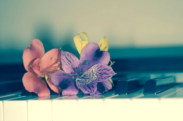 Blomma på piano Stockbild