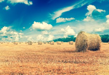 Straw bales on farmland with blue cloudy sky clipart