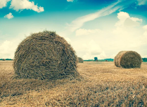 Straw bales on farmland with blue cloudy sky — Stock Photo, Image