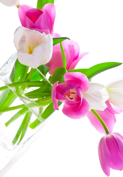 Ramo de tulipanes frescos — Foto de Stock