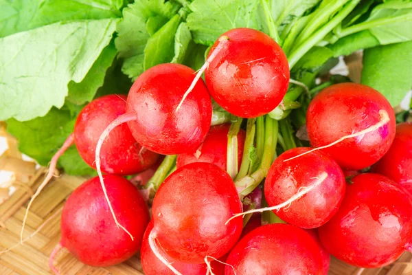 Fresh radishes with tops — Stock Photo, Image