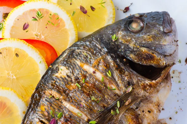 Рыба, морской окунь на гриле с лимоном — стоковое фото