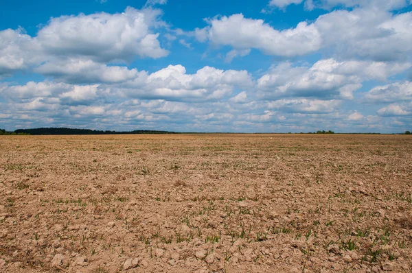 Plowed field is empty in the sky — Stock Photo, Image