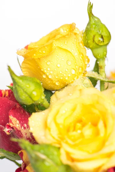 Букет червоних і жовтих троянд Стокове Фото