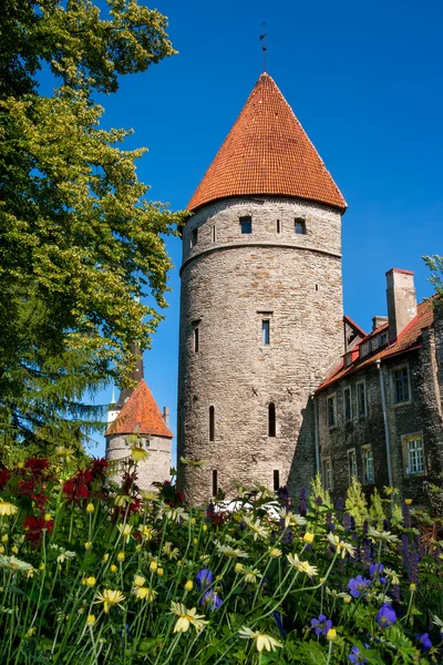 Вежі Таллінна. Естонія — стокове фото