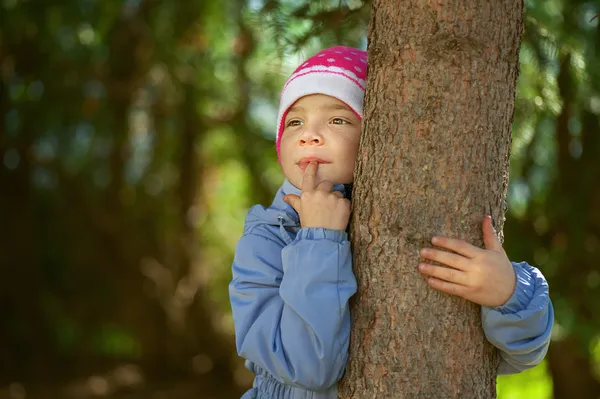 Руки девочки-дошкольницы сжимают дерево — стоковое фото