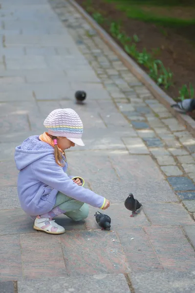 Mädchen im Vorschulalter füttert Tauben — Stockfoto