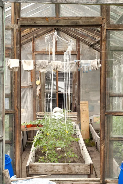 Self-made Glass greenhouse in countryside — Stock Photo, Image