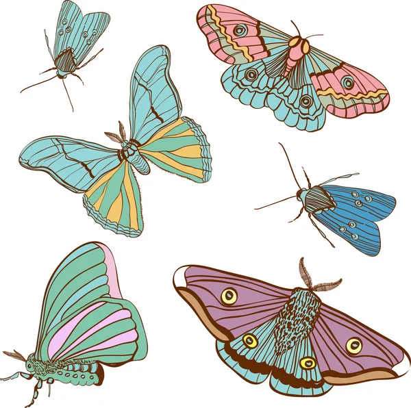 Ensemble de deux mignon papillon de couleur — Image vectorielle