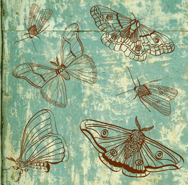 Vieux fond avec papillon de nuit, vintage — Image vectorielle
