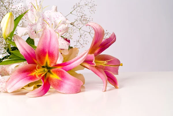 Vitt och rosa lily blommor — Stockfoto