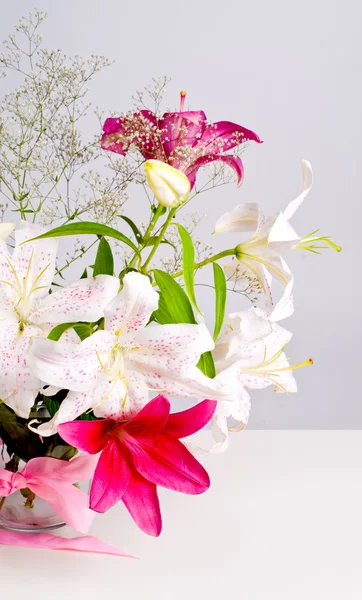 Vitt och rosa lily blommor — Stockfoto