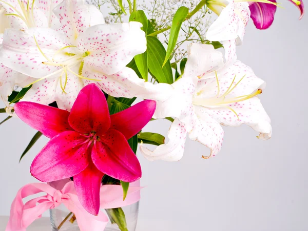 White and pink lily flowers — Stock Photo, Image