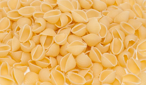 Macaronis крупным планом "Cockleshell" — стоковое фото