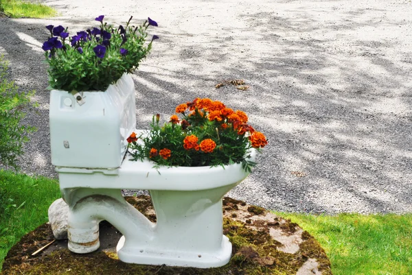Schale Blumentopf mit Blumen im Garten — Stockfoto