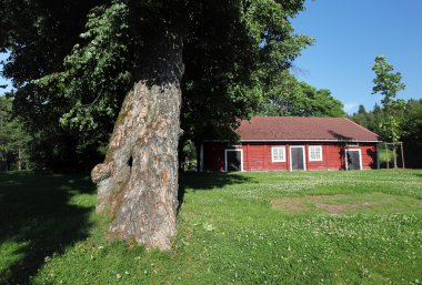 red shed Finlandiya ile kırsal manzara