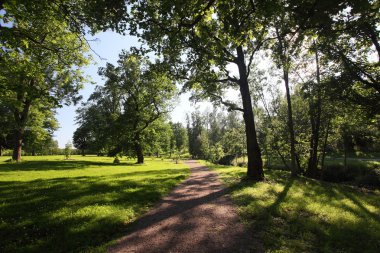 Güneş patika Park