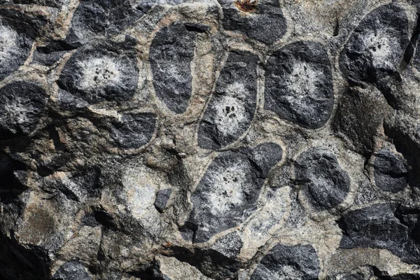Primo piano del blocco di granito orbicolare superficiale — Foto Stock