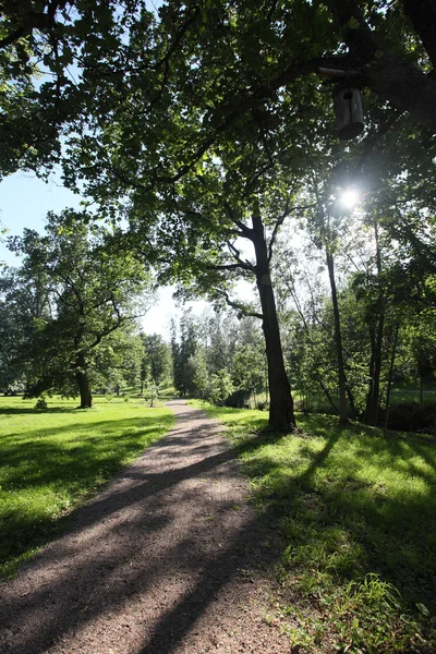 Footpath in the park, summer day — Stock Photo, Image