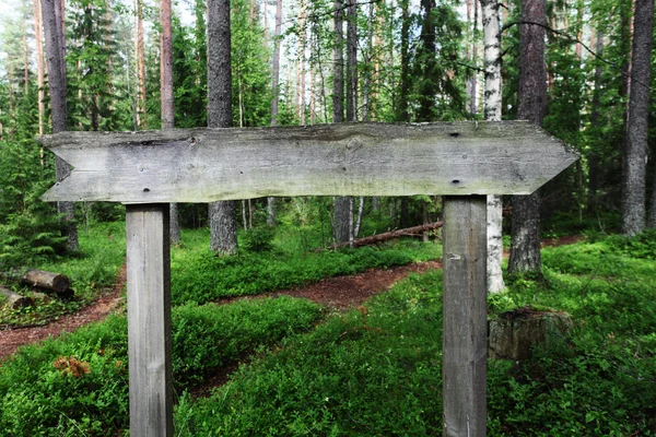 森の中で空白の木製ポインター — ストック写真