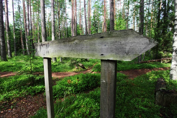 Lege houten aanwijzer in het bos — Stockfoto