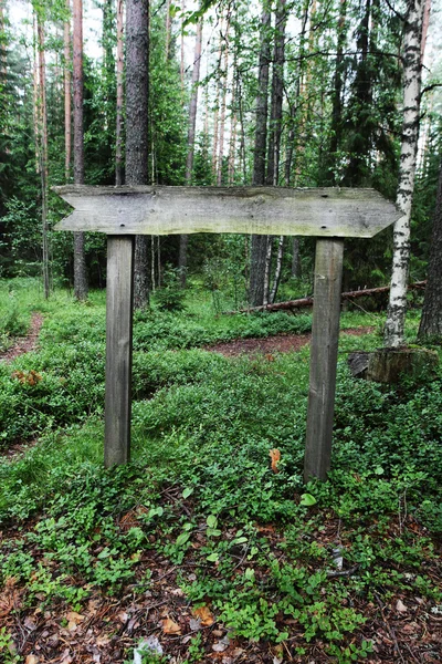Ponteiro de madeira vazio na floresta — Fotografia de Stock