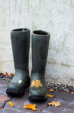 Pair of rubber boots with autumn leaves clipart
