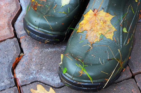 Primer plano de botas de goma pai con hojas de otoño — Foto de Stock
