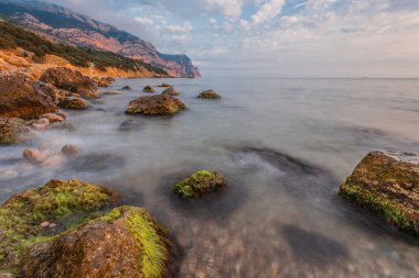 Rocky coastline with pine trees on blue sky and sea background clipart