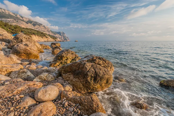 Mavi gökyüzü ve denizin zemin çam ağaçları ile kayalık sahil şeridi — Stok fotoğraf