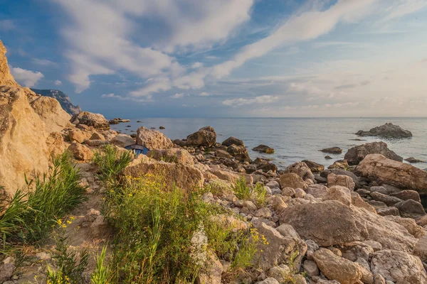 Скалистое побережье с соснами на голубом небе и морском фоне — стоковое фото