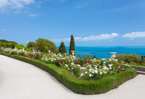 Beautiful landscape - white roses, sea and sky in Vorontsov Palace