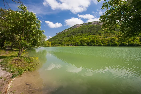 Kleurrijke zomer landschap in de Krim — Stockfoto
