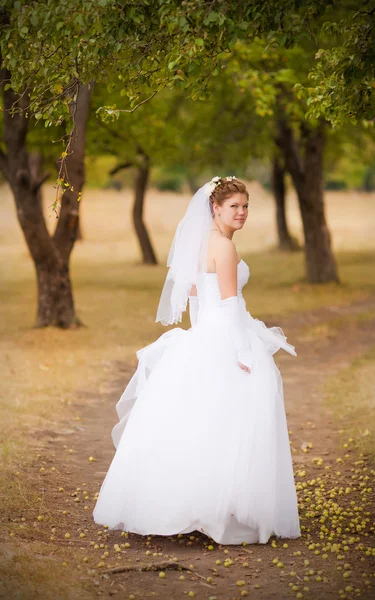 Bela noiva na natureza — Fotografia de Stock