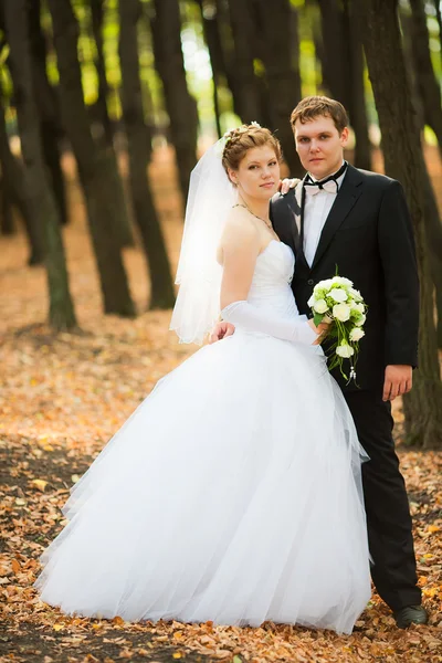 Romantik Düğün çifti — Stok fotoğraf