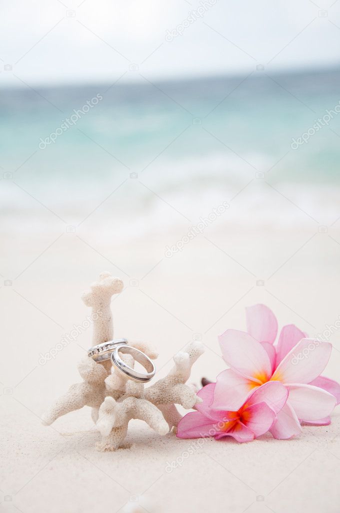 Two wedding rings on coral in front of the seaside