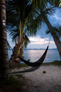 Evening view of hammock strung between two palms on tropical isl clipart