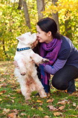 Happy woman with west highland white terrier dog in autumn fores clipart