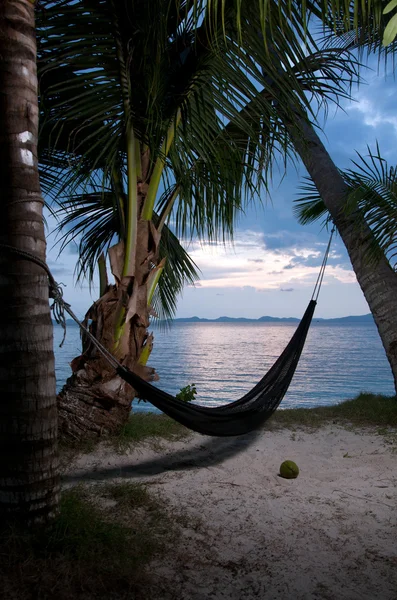 Weergave van hangmat gespannen tussen twee handpalmen op tropische isl avond — Stockfoto