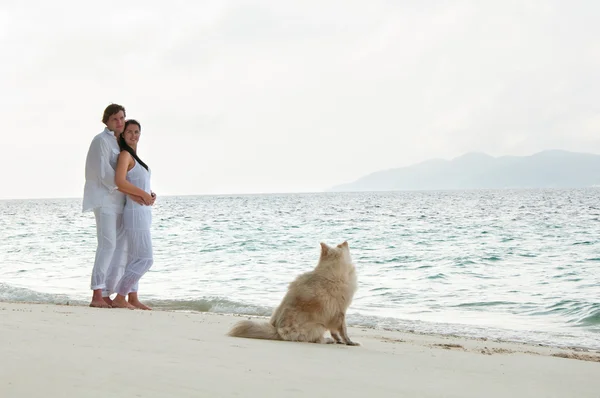 犬と一緒に海岸にロマンチックな若いカップルの写真 — ストック写真