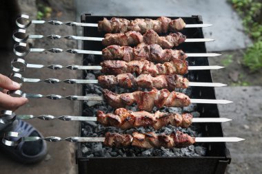 Shishkebab