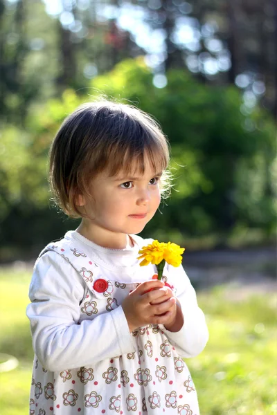 Mädchen riecht Blume — Stockfoto